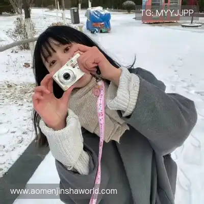 王秦准